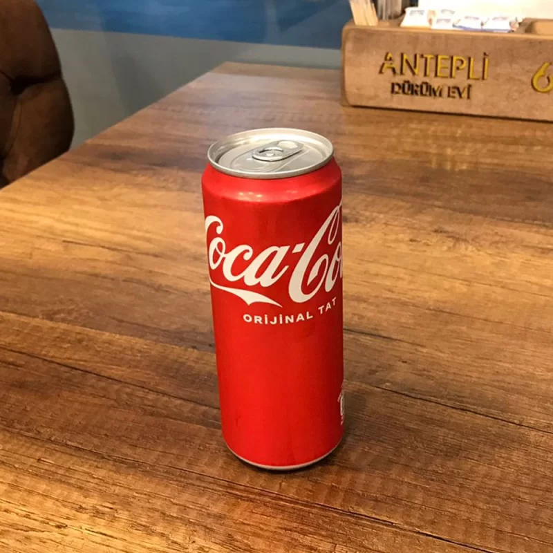 Coca Cola Kutu 250 ml